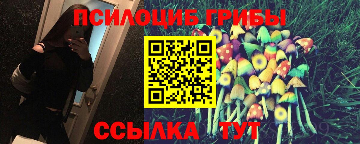 Псилоцибиновые грибы MAGIC MUSHROOMS  Псилоцибиновые грибы Psilocybe  где купить наркоту  Вход с VPN  Старая Купавна 